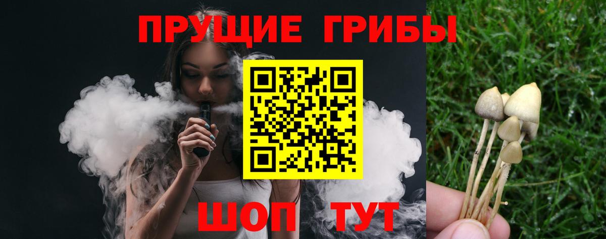 Магнитогорск  Псилоцибиновые грибы GOLDEN TEACHER  Вход с VPN 
