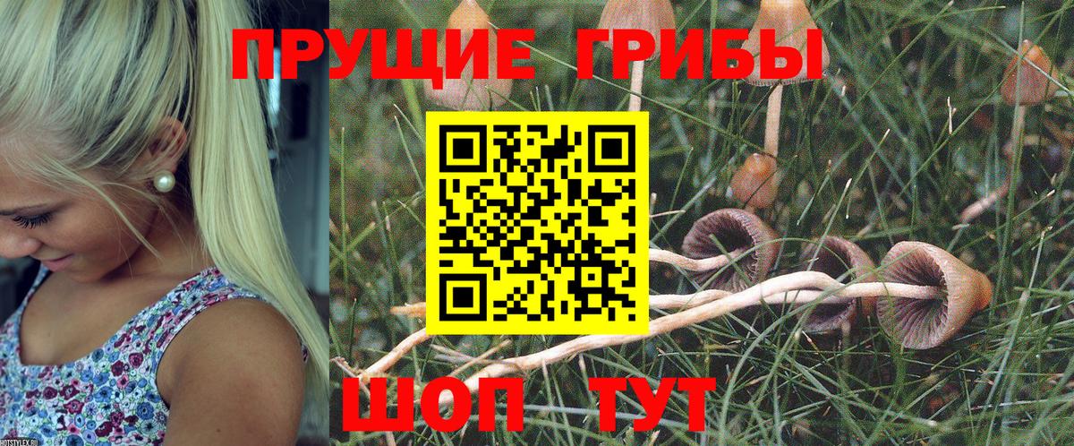 Псилоцибиновые грибы прущие грибы Магнитогорск